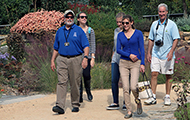 People walk down a garden path with a tour guide