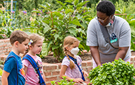 An adult and 3 children discuss plants in a food garden outdoors
