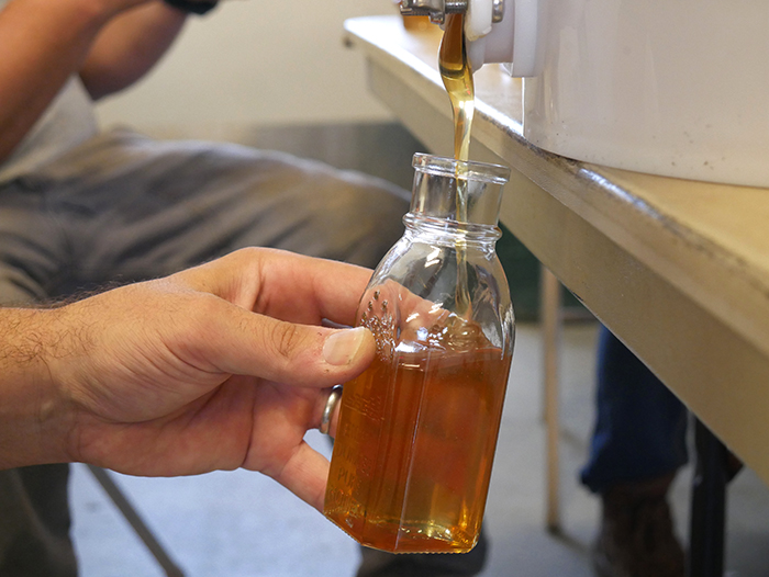 pouring honey into bottles