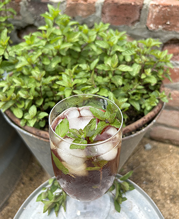 a glass of iced tea with mint leaves in the foreground, with a potted mint plant behind it