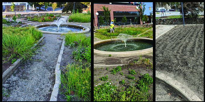 triptic showing a city rotary park before and during landscape redesign
