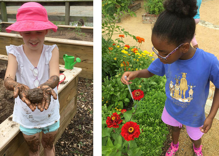 two children exploring plants and soil in a garden setting