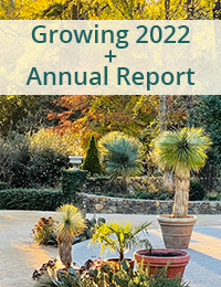 image of a garden and patio with tropical plants and text that says growing 2022 + annual report
