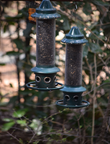 Blomquist bird feeders