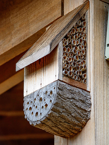 Pollinator house in the Brody Discovery Garden