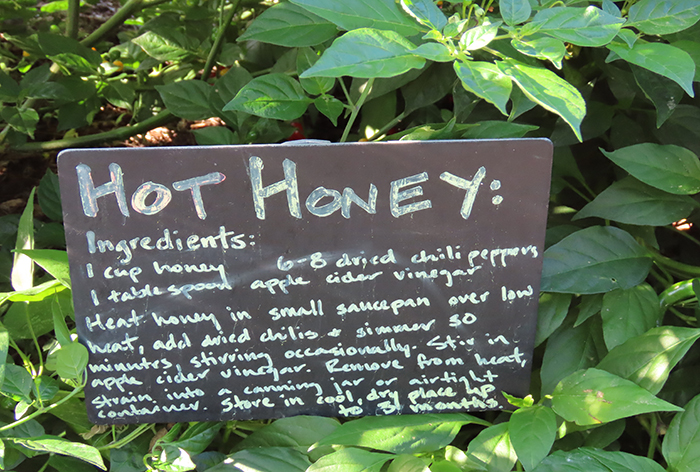 Recipe sign in the garden - describes how to make hot honey