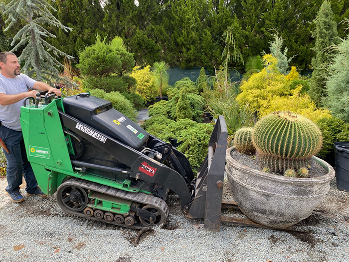 Curator Jason Holmes uses machinery to lift a large potted cactus in the Historic Gardens