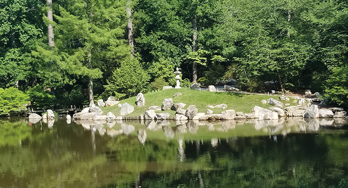 view of a large pond with boulders and trees on the far bank