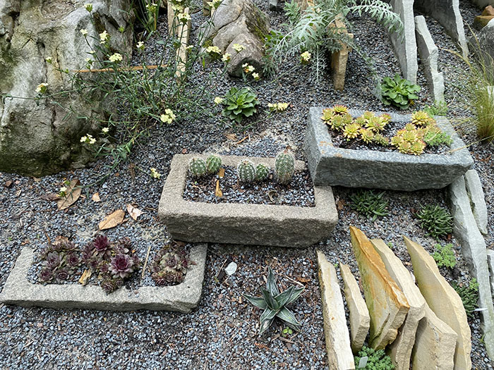 Hypertufa trays containing succulents resting on a gravel bed