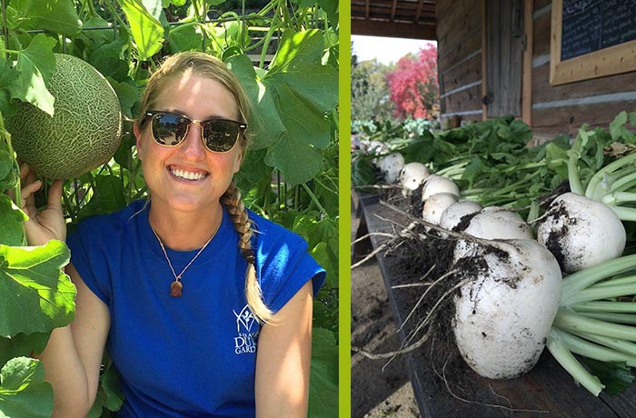 Lindsey Luks + harvested turnips