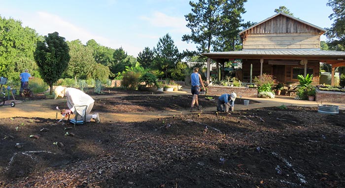 staff and volunteers planting in the Brody Garden