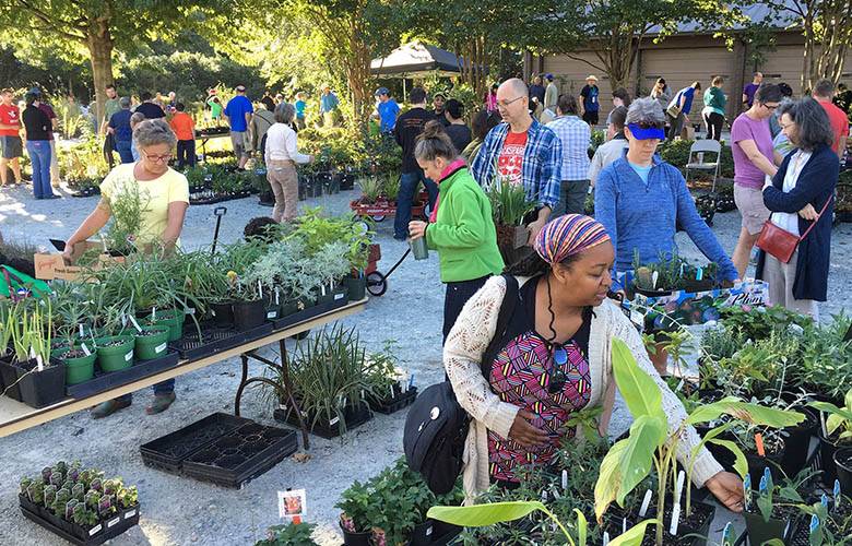 shoppers at the fall plant sale