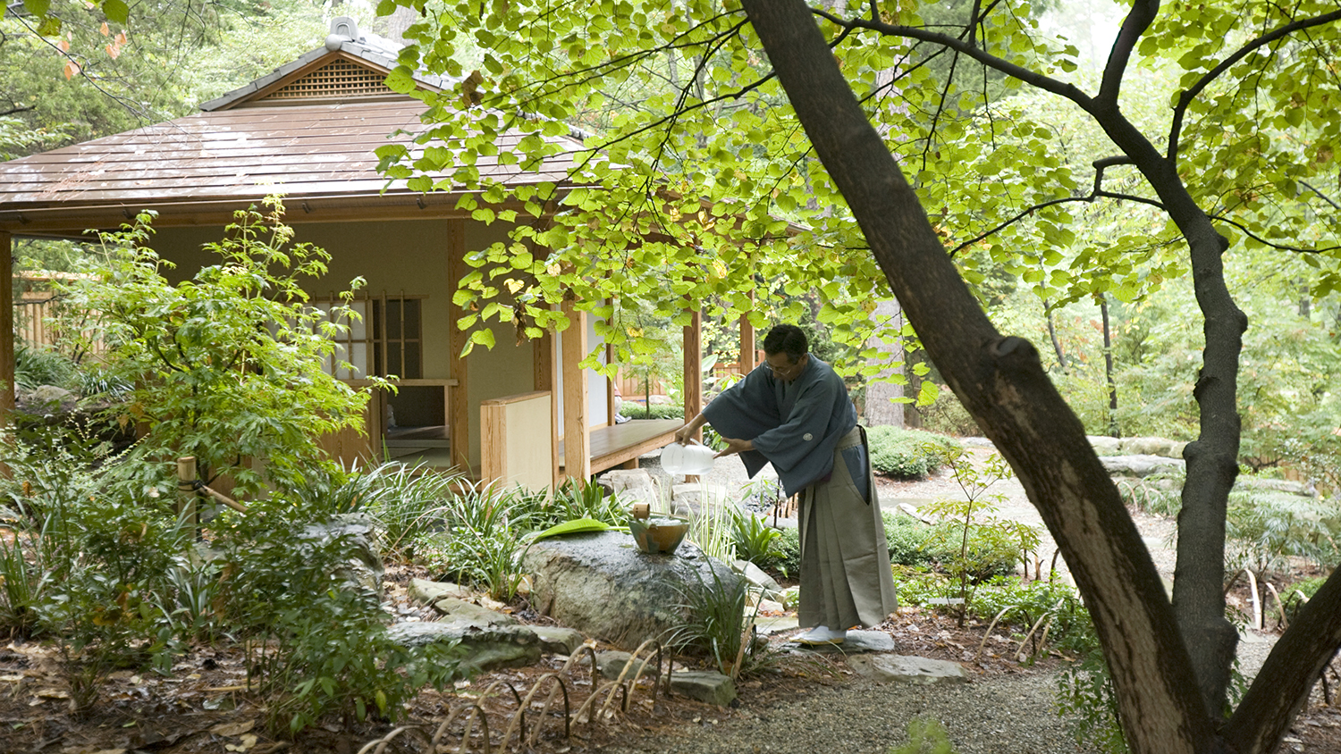 A Japanese garden with a teahouse and trees and a man in a kimono pouring water into a basin