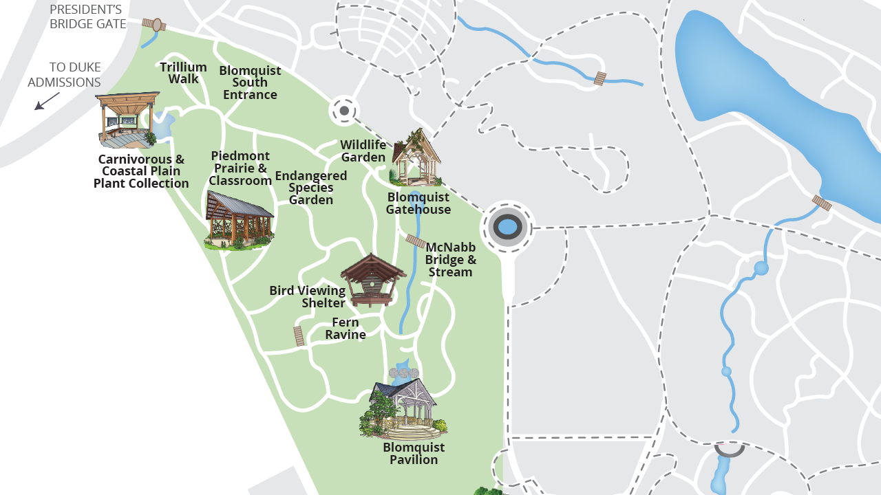 Duke Gardens map with the Blomquist Garden highlighted in green