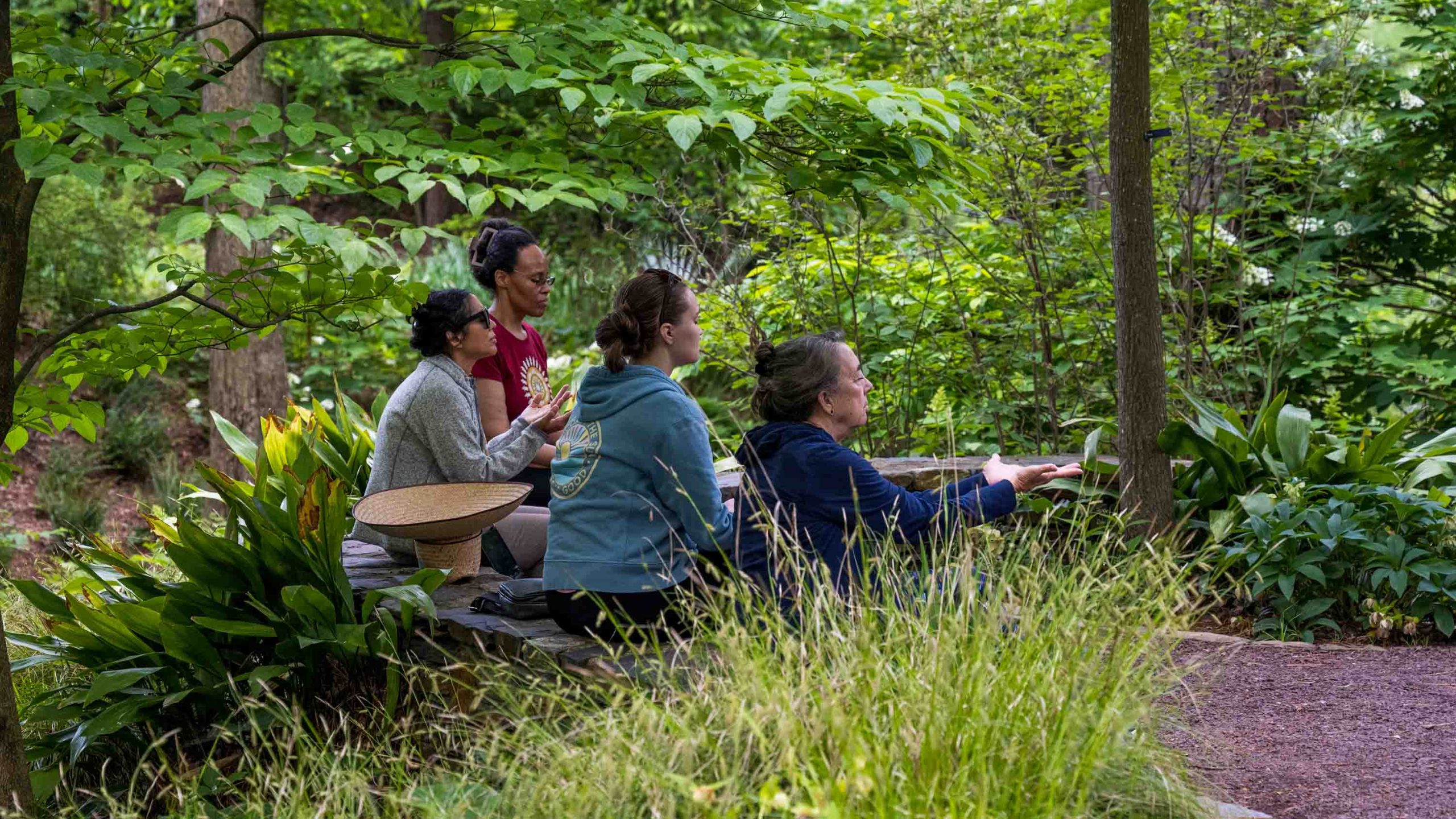 A group of four women sit on benches in a lush garden area with tall grasses in the foreground and trees in the background