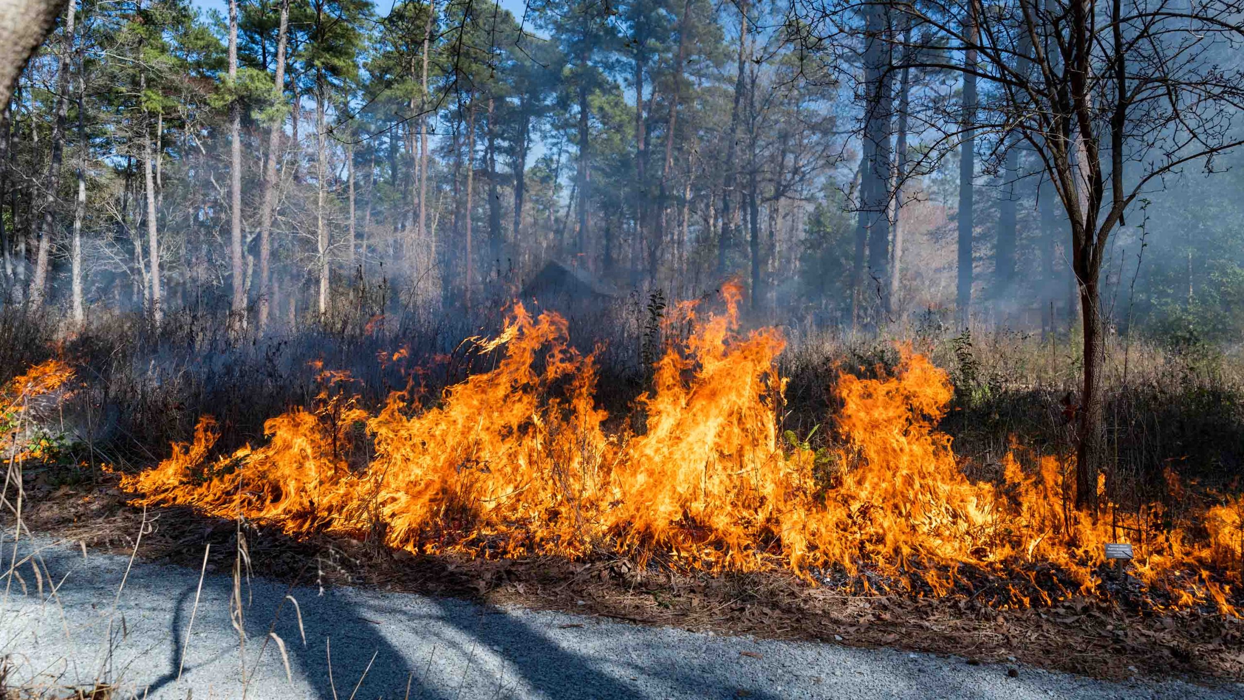 A large fire, bright orange in color, burns in the field near the Blomquist Prairie classroom structure