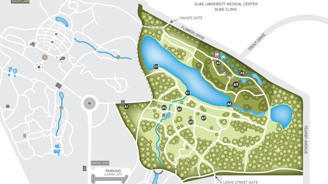 Duke Gardens map with the Culberson Asiatic Arboretum highlighted in green