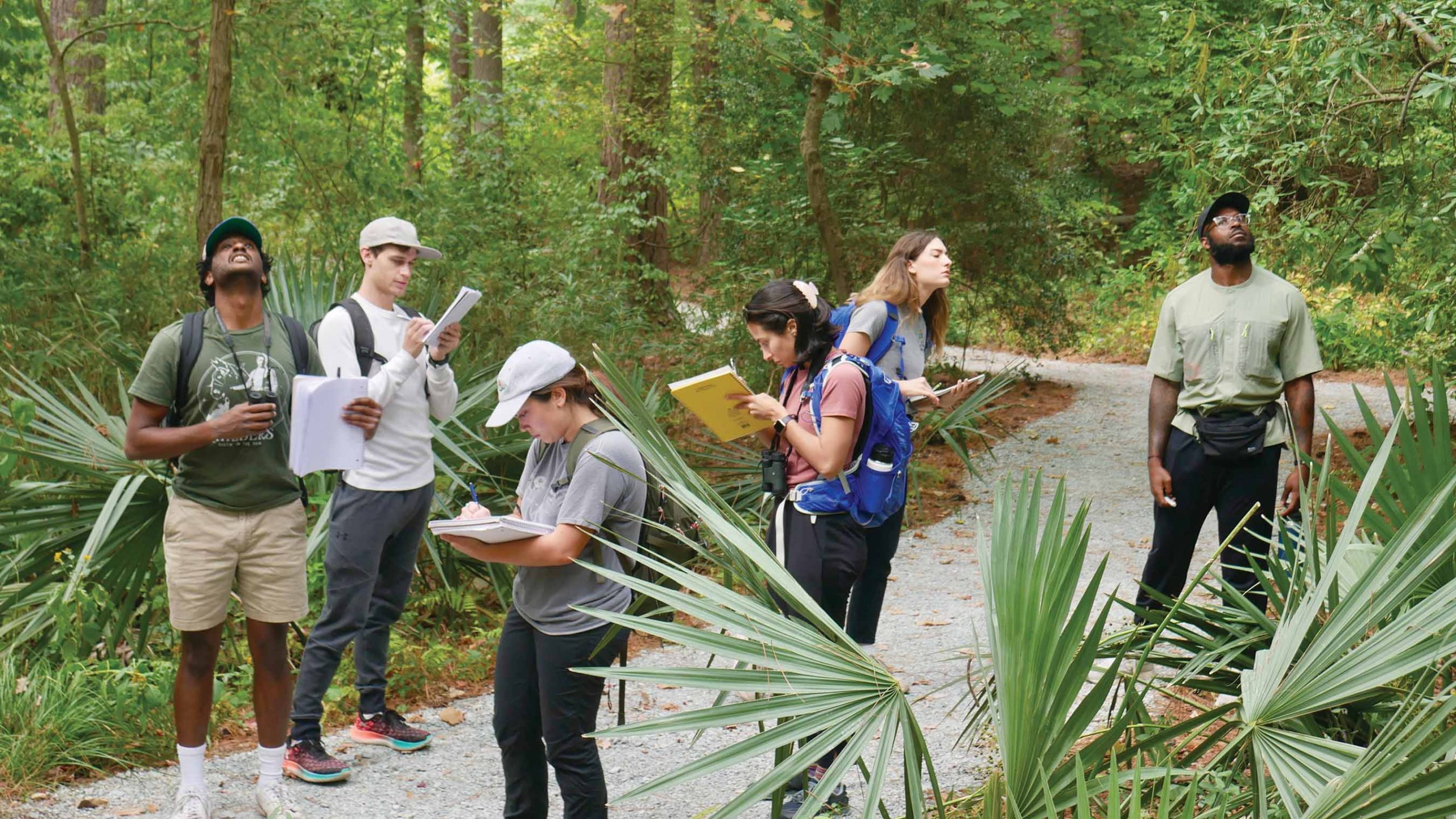 A group of 8 people out in a woodsy garden setting. One is pointing up toward the trees, and most of the others are looking at where the person is pointing.