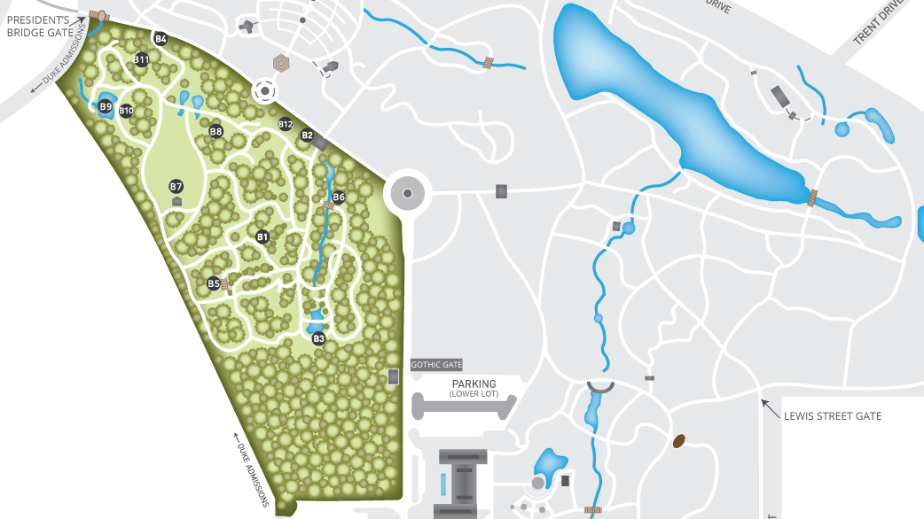 Duke Gardens map with the Blomquist Garden highlighted in green