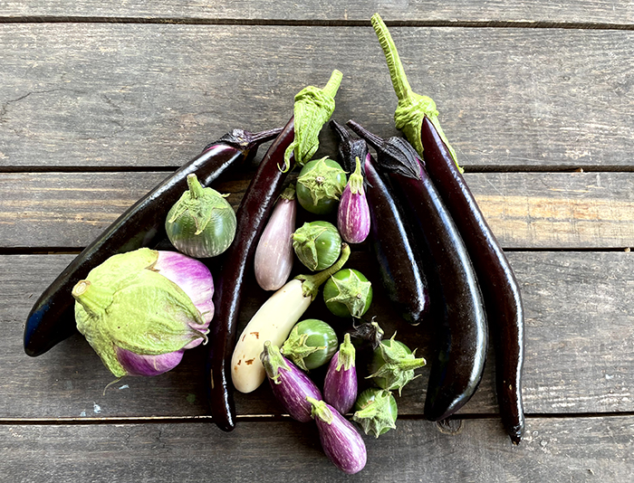 An assortment of eggplants of varying shapes, sizes, and colors on a wooden table.