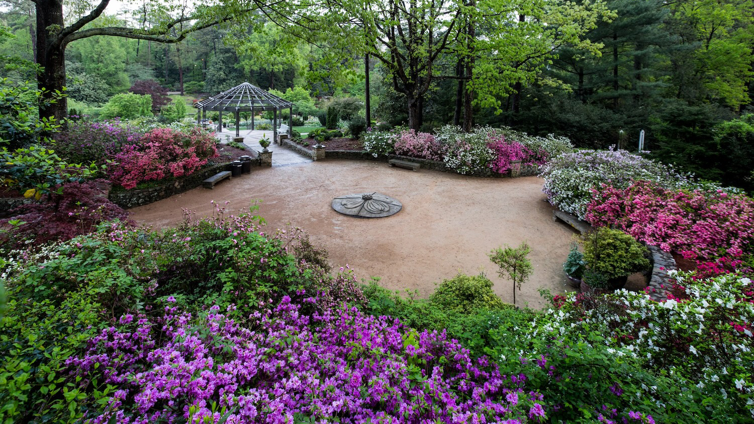 A gravel circle with a sculpture in the center and multi-colored azalea shrubs growing all around, with trees in the background.