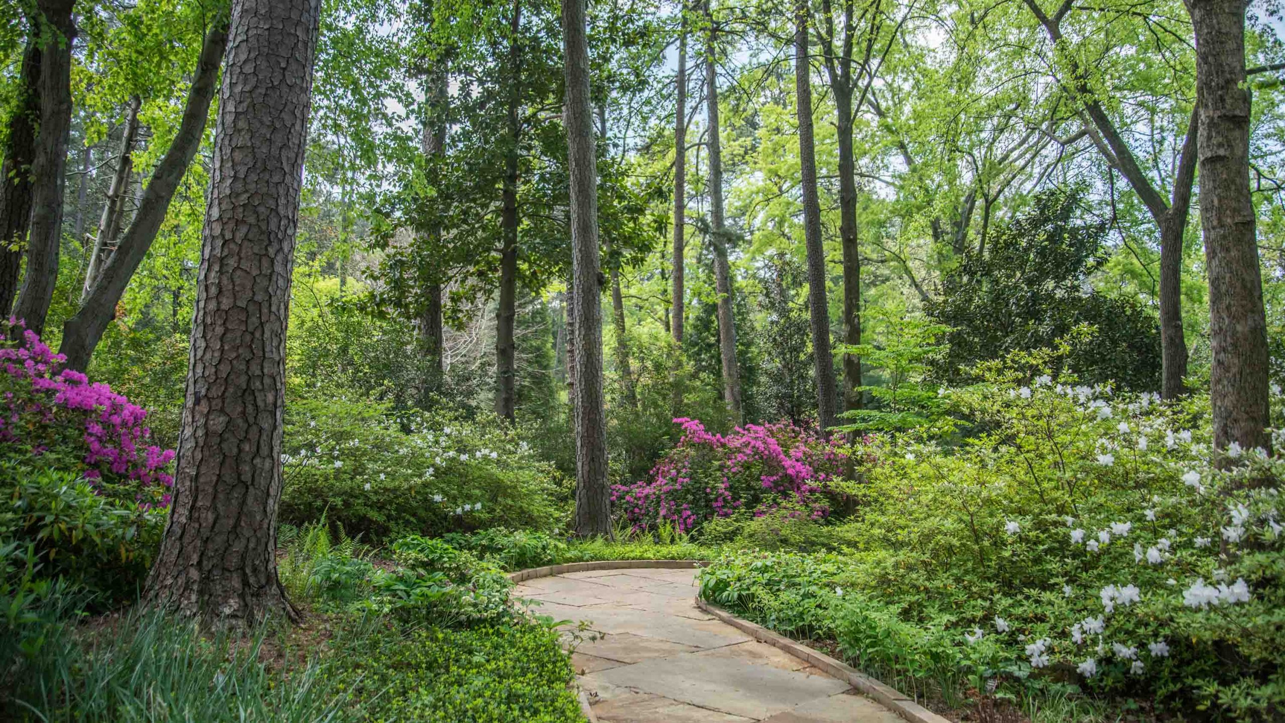 A stone path through the Memorial Garden lined with spring flowers.