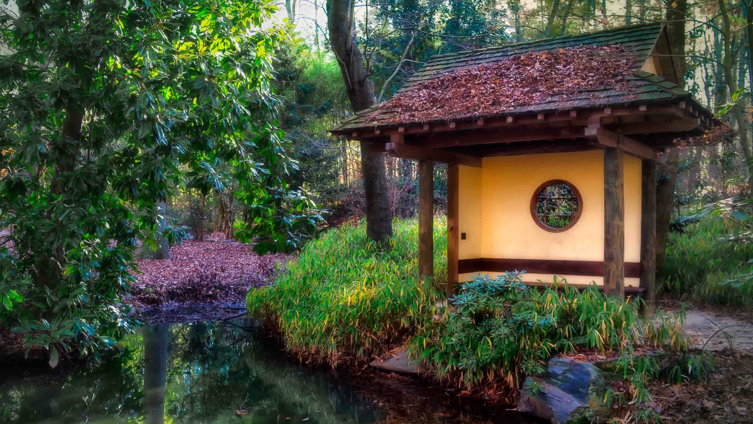 A Japanese garden pavilion with a wooden wall and circular window with purple and green shrubs around it.