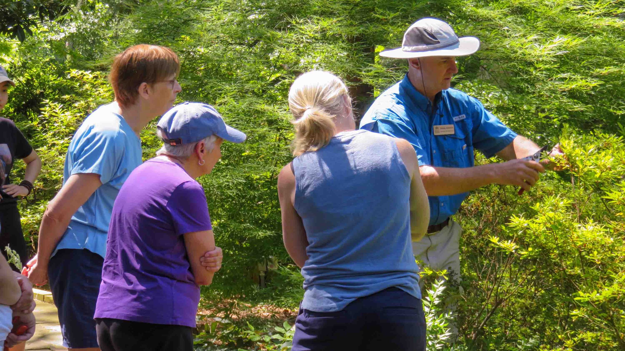 A Duke Gardens horticulturist in a sun hat shows a group of three women the leaves of a shrub