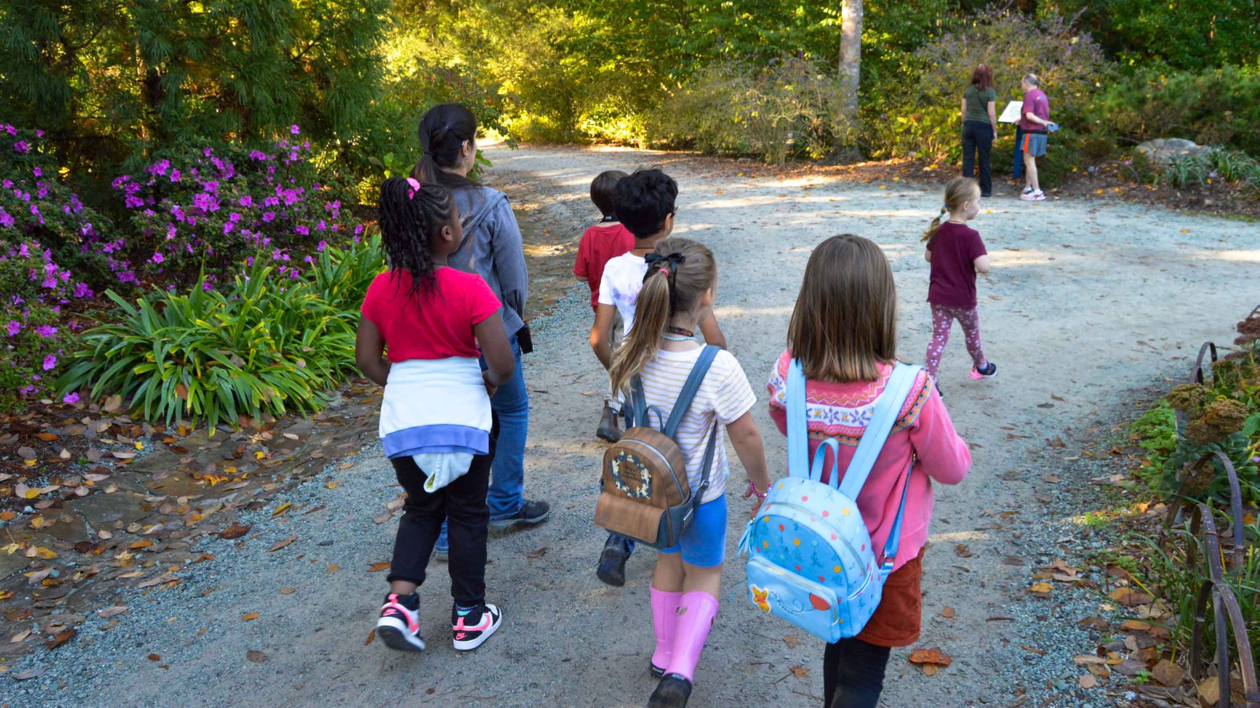 A group of children, many of whom have backpacks, walks along a gravel path in Duke Gardens