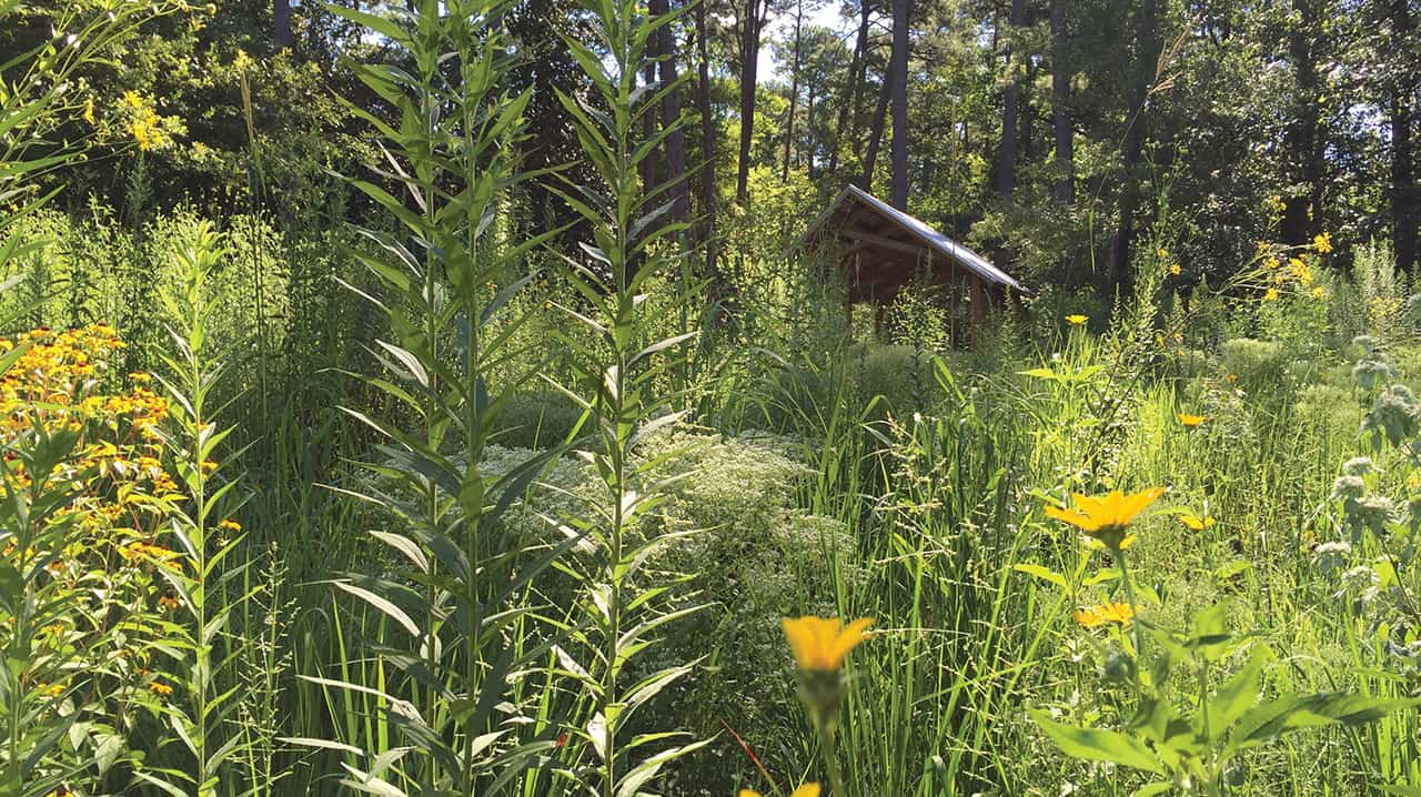 Blomquist Prairie