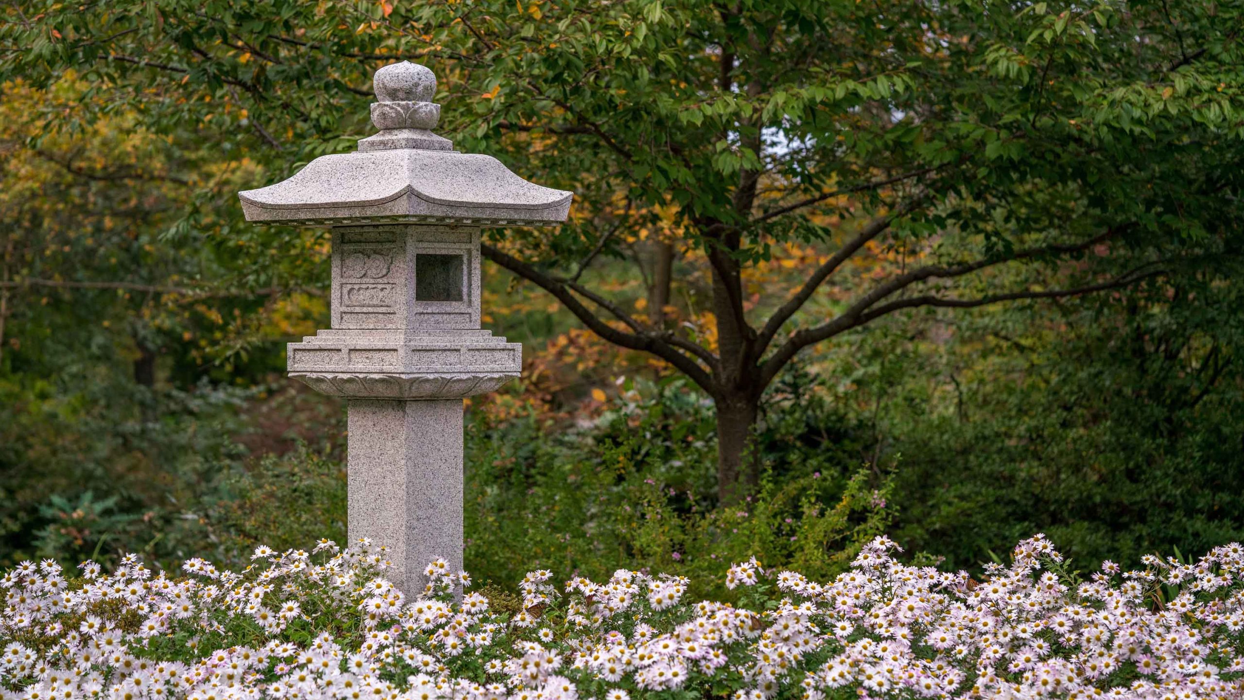 A stone garden patio with two Adirondack chairs, a wooden trellis with climbing clematis flowers and a small stone garden fountain in the distance.