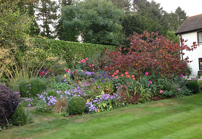 gt_200423_gardenhedge_renwick Floral hedgerow and perennial border in England.