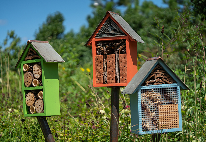 Three pollinator houses full of a variety of materials for bees to nest in