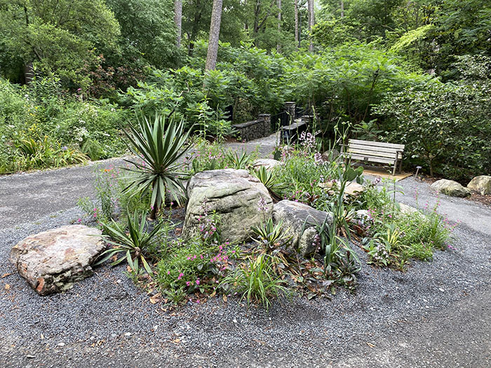 Scree garden at a path intersection.