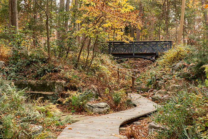 A boardwalk through a ravine garden with a bridge in the background.