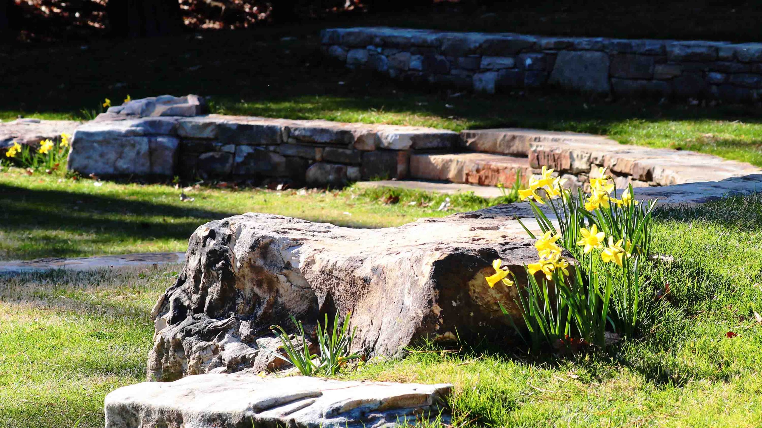 Doris Duke Discovery Garden