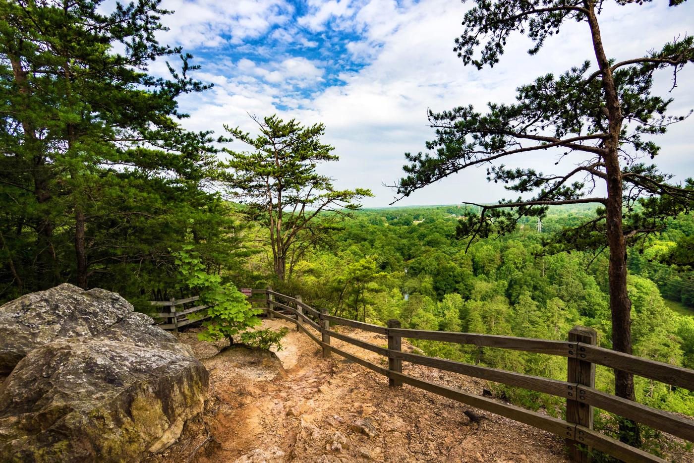 A wooden fence on a red clay path overlooking a canopy of trees